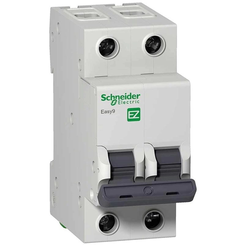 Interruptor Termomagnético Easy9 bipolar 63A 4,5kA